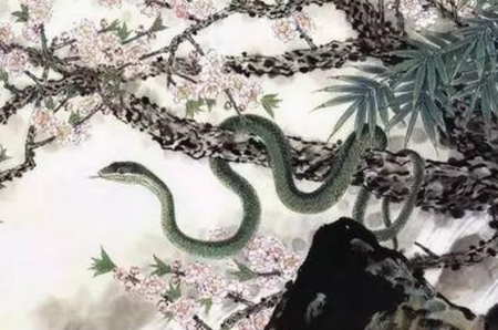 曾经沧海难为水春光美好猪蛇牛是什么生肖,警惕虚假宣传-全面释义、解释与落实、详细解答解释落实