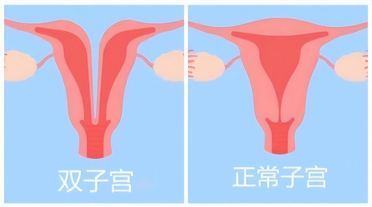 江南才子唐伯虎,一张书画值千金是什么生肖，详细解答、构建解答解释落实
