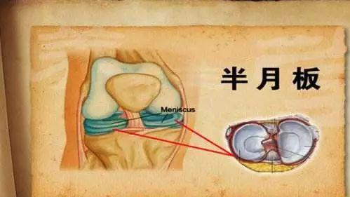 江南才子唐伯虎,一张书画值千金是什么生肖，详细解答、构建解答解释落实