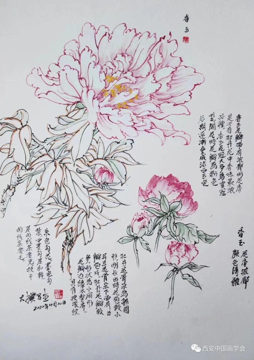 沧海月明珠有泪,蓝田日暖玉生烟打生肖精选解析、解释与落实、专家解答解释落实