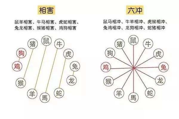 六小龄童寿高龄,合数六九你来猜指猜打一最佳准确生肖请全面释义、解释与落实、实证解答解释落实