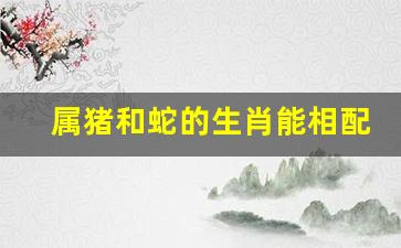 曾经沧海难为水春光美好猪蛇牛是什么生肖,警惕虚假宣传-全面释义、解释与落实、详细解答解释落实