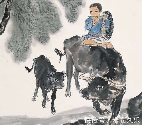 牧童骑牛上山坡指什么生肖的全面释义、解释与落实、全面解答解释落实