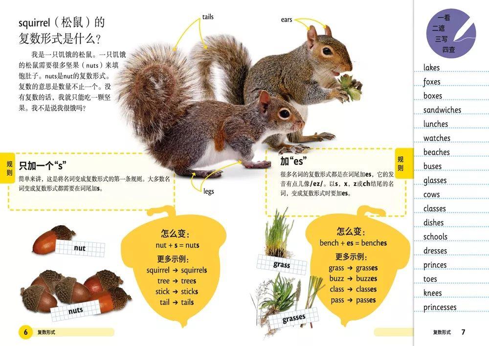 周而复始打一最佳生肖的警惕虚假宣传-全面释义、深度解答解释落实